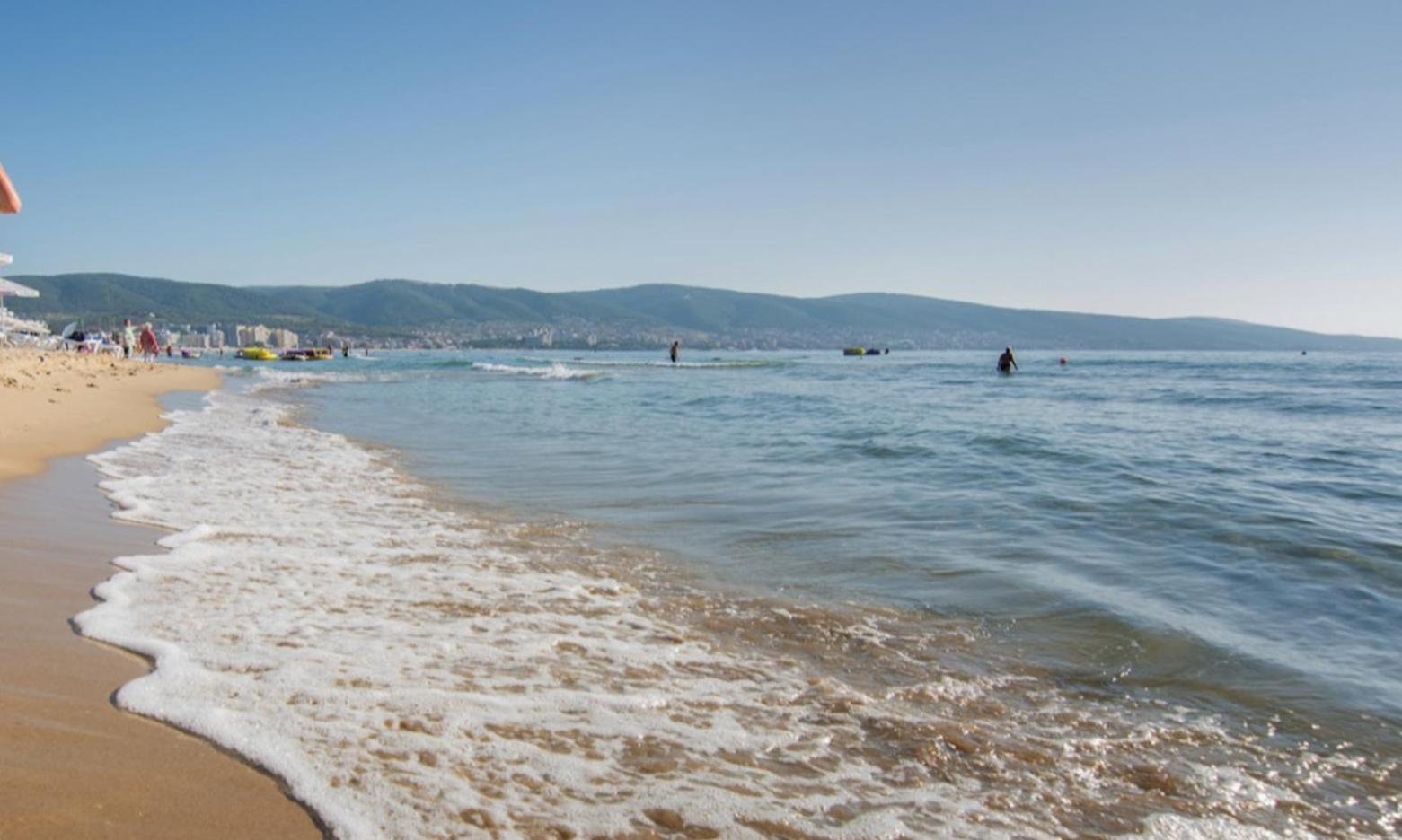 Chateau Del Mar C31A Studio Σάνι Μπιτς Εξωτερικό φωτογραφία